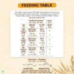 Nestle Nestum Rice (6-24 month) - Image 5