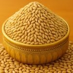 Wheat (கோதுமை/Godhumai)