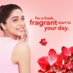 Ponds Starlight Talcum powder 50g - Image 3