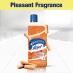 Lizol Floor Cleaner Sandle 500ml - Image 2