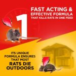 Mortein Rat Kill Cake 25g - Image 3
