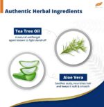 Himalaya Anti Hair Fall Tea Tree Oil Aloe Vera Shampoo 80ml - Image 4