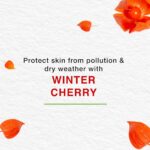 Himalaya Nourishing Skin Cream 100ml - Image 3