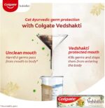 Colgate Vedshakthi Toothpaste 100g - Image 2