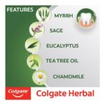 Colgate Herbal Toothpaste 100g - Image 2