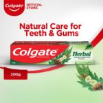 Colgate Herbal Toothpaste 100g - Image 3