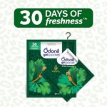 Odonil Gel Pocket Wild Forest 10g - Image 4
