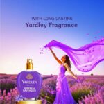 Softouch Yardley Perfumes Imperial Lavander Fabric Conditioner 210ml - Image 3