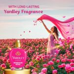 Softouch Yardley Perfumes Windsor Rose Fabric Conditioner 800+210ml - Image 3