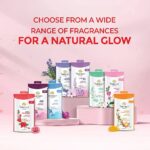 Yardley Londan Royal Red Rose Face Powder 250g - Image 7