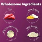 Whiskas Cat Food Kitten 2 - 12 Month 1.1kg - Image 3