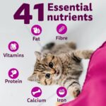 Whiskas Cat Food Kitten 2 - 12 Month 1.1kg - Image 6