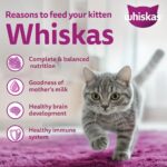 Whiskas Cat Food Kitten 2 - 12 Month 450gm - Image 7