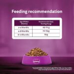 Whiskas Cat Food Kitten 2 - 12 Month 1.1kg - Image 4