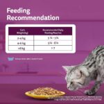 Whiskas Cat Food Adult 1+ Years Chicken In Gravy 80g - Image 4