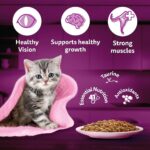 Whiskas Cat Food Kitten 2 - 12 Month Chicken In Gravy 80g - Image 6