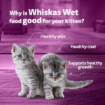 Whiskas Cat Food Kitten 2 - 12 Month Chicken In Gravy 80g - Image 7