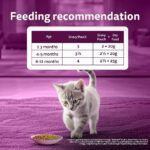 Whiskas Cat Food Kitten 2 - 12 Month Chicken In Gravy 80g - Image 3