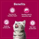 Purepet Cat Food Kitten Mackerel 1.2kg - Image 4