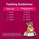 Purepet Cat Food Kitten Tune And Salmon 1.2kg - Image 4