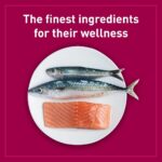 Purepet Cat Food Kitten Tune And Salmon 1.2kg - Image 3