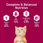 Purepet Cat Food Kitten Tune And Salmon 1.2kg - Image 6