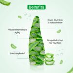 Vcare Aloe Gel Soothing & Moisturizing 120ml - Image 3