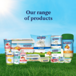 Hatsun Curd Tub 1kg - Image 5