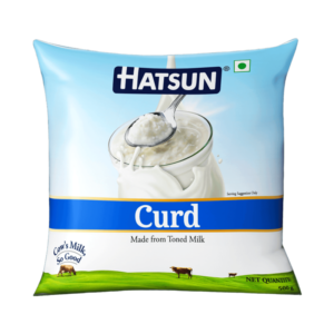Hatsun Curd 500g