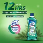 Lizol Fresh Clean Bathroom Cleaner Pine Oil 700ml - Image 2