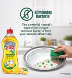 Exo Bio Enzymes Ginger Lemon Dishwash Gel 750ml - Image 3