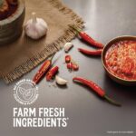 Kissan Teekhi Lehsun Mirch Chutney Garlic Ginger Sauce 100ml - Image 4