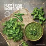 Kissan Chatpati Hari Chutney Coriander Mint 100ml - Image 4