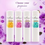 Enchanteur Perfumed Talc Alluring Face Power 125g - Image 3