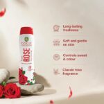 Gokul Santol Royal Rose Face Body Powder - Image 2
