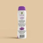 Gokul Santol Lively Lavender Face Body Powder - Image 4