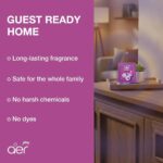 Godrej Aer Power Packet Burry Rush Air Freshener - Image 2