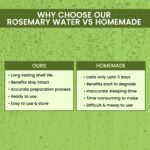 Alps Goodness Rosemary Water For Thick Hair 32ml - Image 10
