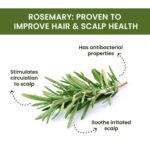 Alps Goodness Rosemary Water For Thick Hair 32ml - Image 12