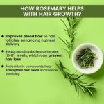 Alps Goodness Rosemary Water For Thick Hair 200ml - Image 4