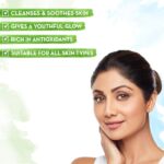 Mamaearth With Aloe Vera Ashwagandha For Youthful Glow Face wash 100ml - Image 2