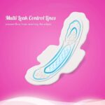 Sofy Bodyfit Deep Absorption Heavy Days Sanitary Pads XL 40 Pads - Image 3