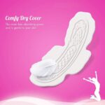 Sofy Bodyfit Deep Absorption Heavy Days Sanitary Pads XL 40 Pads - Image 4