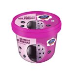 Dairy Day Jamun Tub Ice Cream 500ml
