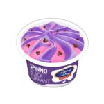 Dairy Day Spinno Blackcurrant Cup Ice Cream 70ml
