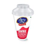 Dairy Day Kwikie Sundae Fruit Delight Ice Cream 100ml