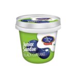 Dairy Day Junior Sundae Blackcurrant Ice Cream 100ml