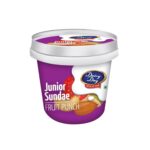 Dairy Day Junior Sundae Chocolate Ice Cream 100ml