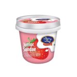 Dairy Day Junior Sundae Strawberry Ice Cream 100ml
