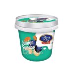 Dairy Day Junior Sundae American Nuts Ice Cream 100ml